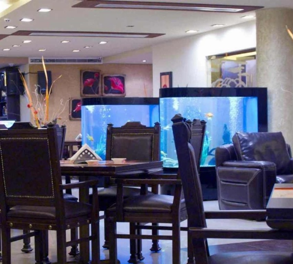 Hollywood Inn Hotel image 20